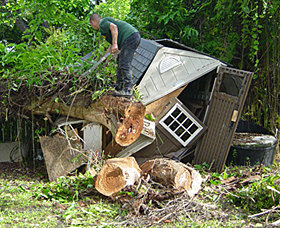 Tree Removal after Hurricane